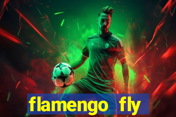 flamengo fly emirates ultimas noticias